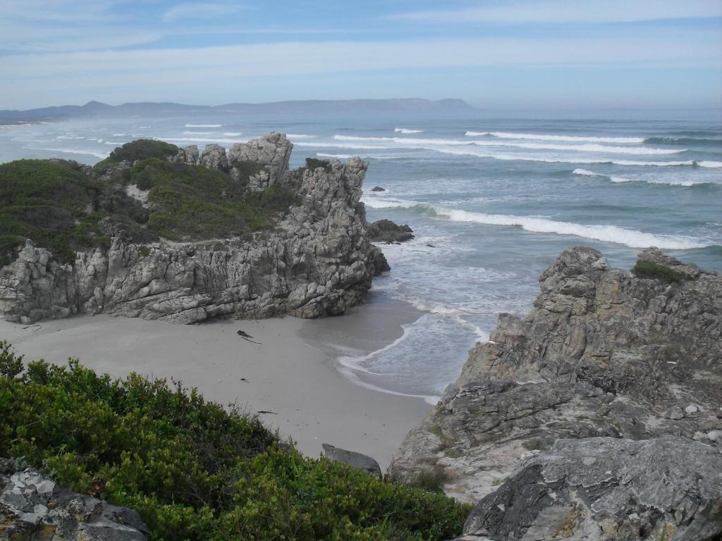 Bamboo Guest House Hermanus Esterno foto